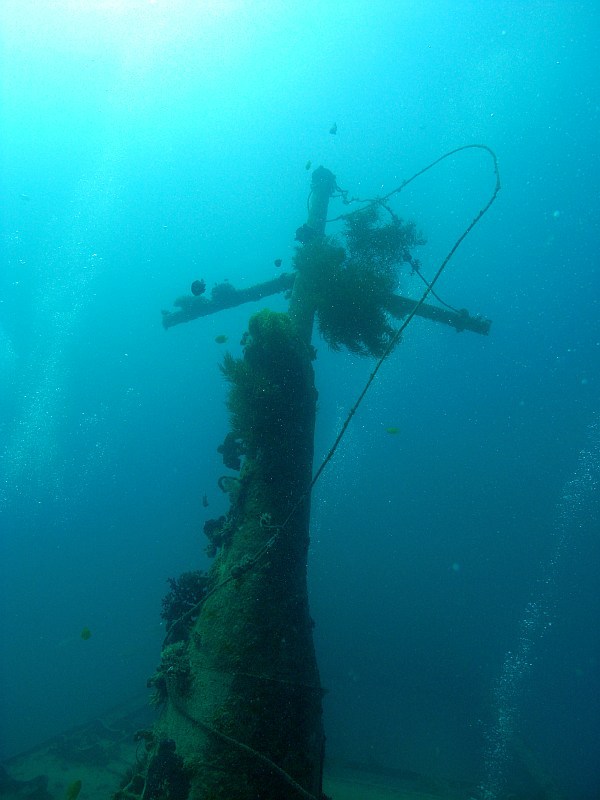 mast of wreck