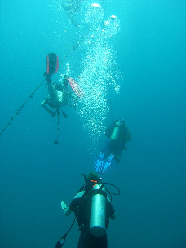 divers ascending