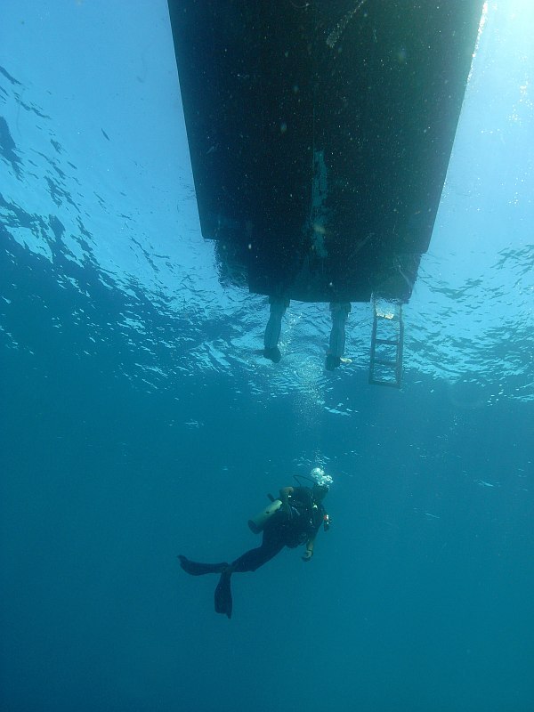 diver below boat